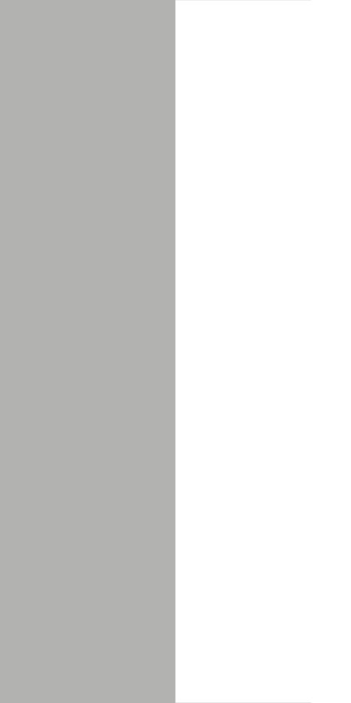 Керамогранит STAROSLABS Monocolors Слэб Керамический Mono Grey Matt 79,8×320