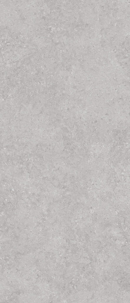 Керамогранит STAROSLABS Matt Слэб Керамический Onega Grey Xylotech 120×278